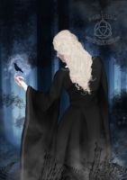 In the Forbidden Forest